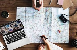 Introductory Cursos
